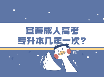 宜春成人高考专升本几年一次?