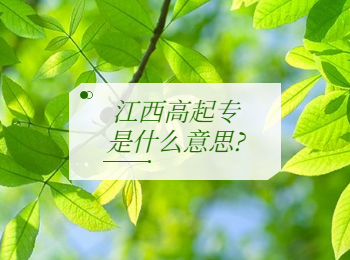 江西高起专是什么意思