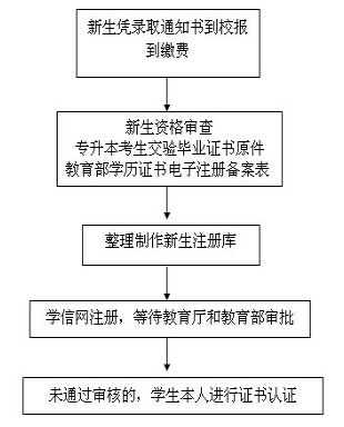 新生学籍注册流程